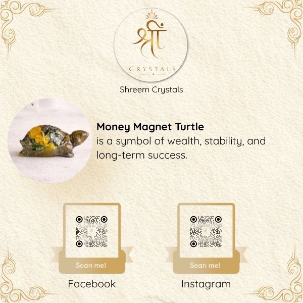 Money Magnet Turtle 3