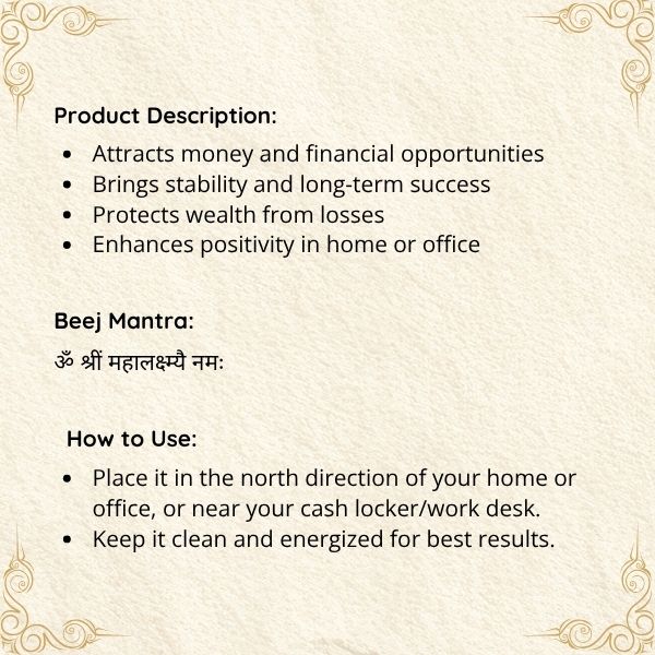 Money Magnet Turtle 4